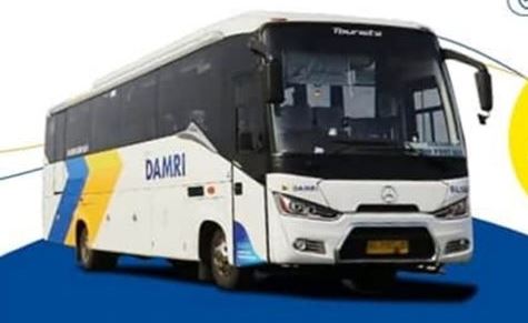 Bis Damri